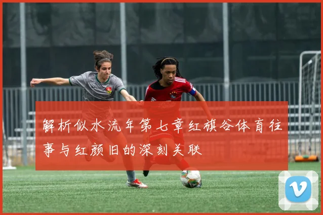 解析似水流年第七章红旗谷体育往事与红颜旧的深刻关联