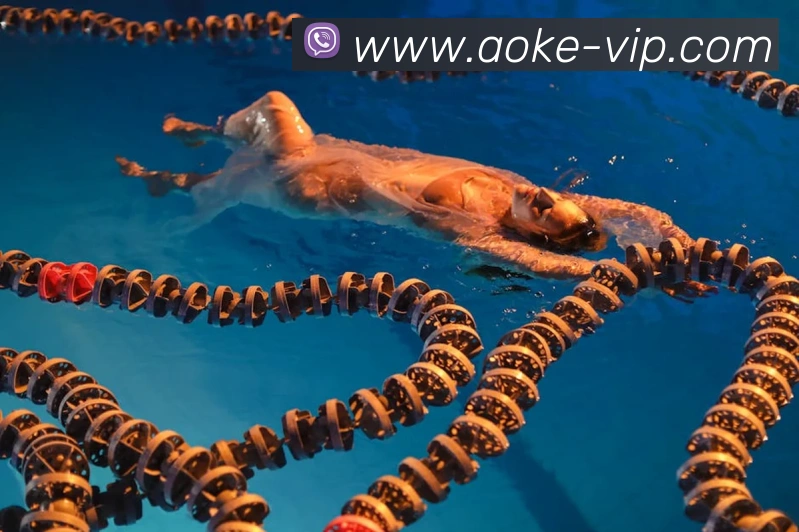 aoke官网 | 专注足球、篮球及电竞赛事深度报道门户品牌故事